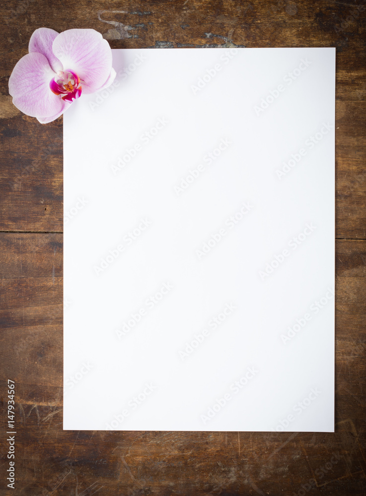 Elegant card with pink orchid flower and white empty sheet of paper Elegant card with pink orchid flower and white empty sheet of paper
