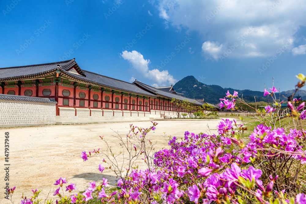Gyeongbokgung Palace in Seoul, South Korea. At spring