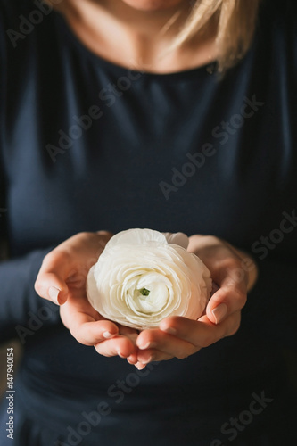 Delicate female hands holding a white ranunculus flower against a blue dress background