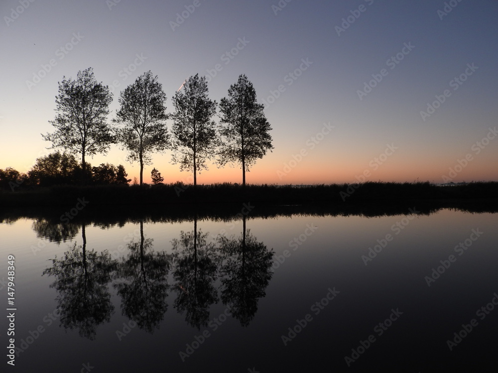 reflections of trees in the water just before sunrise