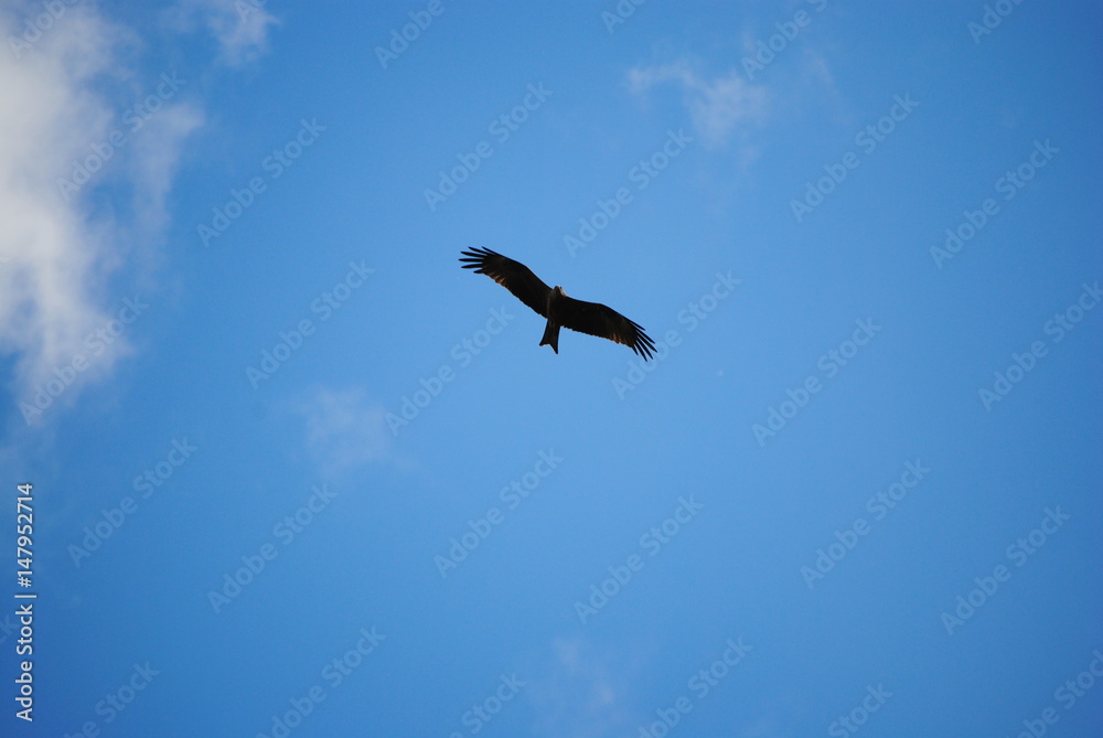 Obraz premium Milan noir