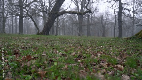 Wallpaper Mural Scenic and picturesque view of Kadriorg park in the morning, Tallinn.  Torontodigital.ca