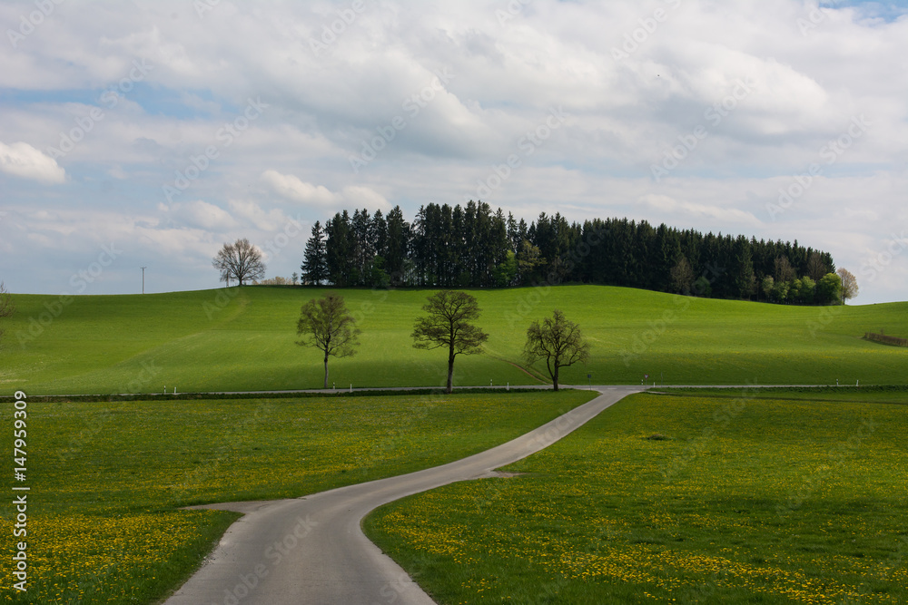 Landschaft mit Straße in Oberschwaben