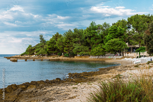 View on Adriatic sea bay with pines in Istria. Croatia. Beautiful beach with loungers and umbrellas