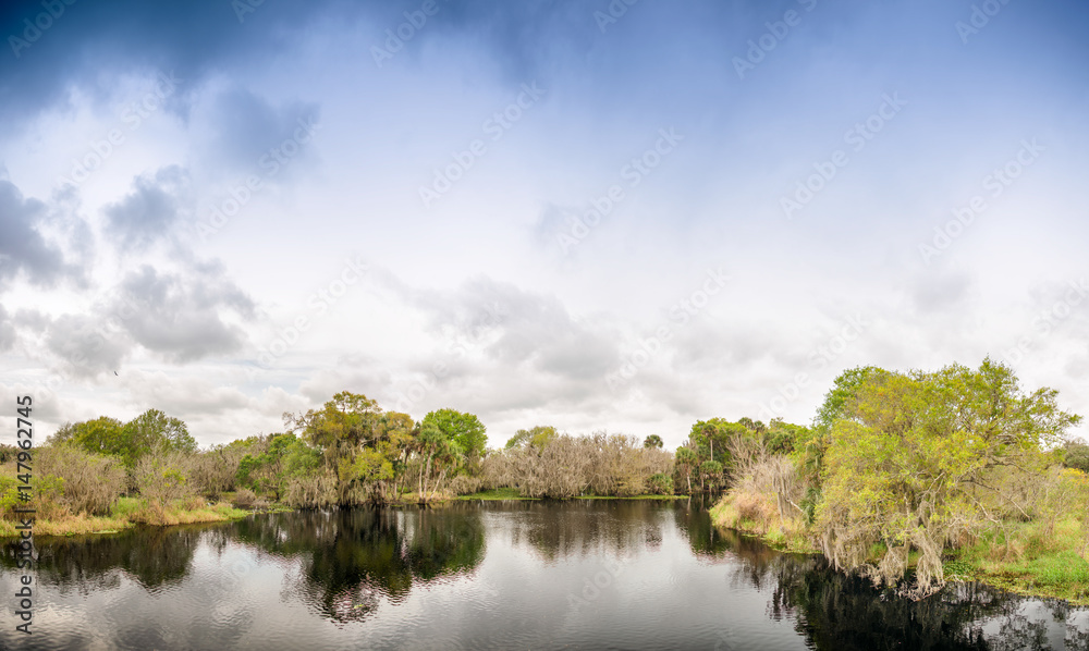 Fototapeta premium Panoramic view of Everglades swamps, Florida