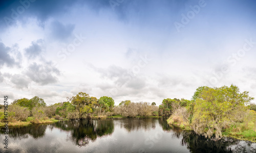 Panoramic view of Everglades swamps, Florida