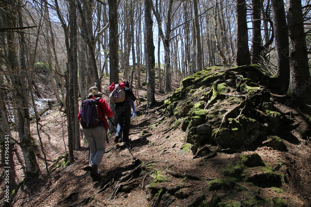 Obraz premium rando en Auvergne