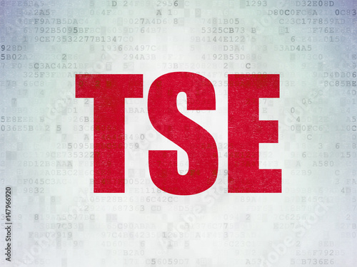 Stock market indexes concept: TSE on Digital Data Paper background