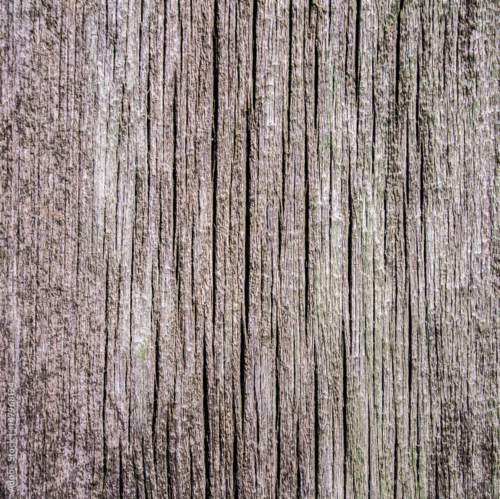 Old boards as a background Old boards as a background