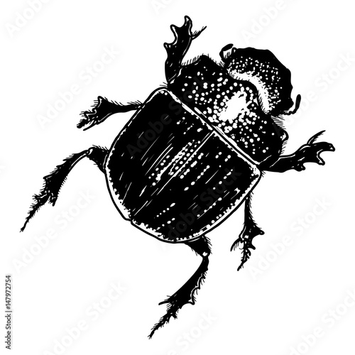 Insect, bug, scarab beetle. Trendy embroidery stippling and hatching, shading style. Stipple art. Vector.