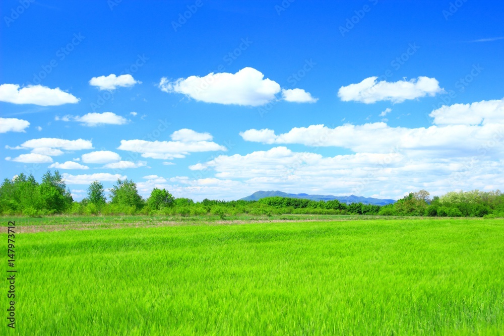 Spring green countryside landscape Spring green countryside landscape