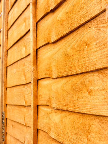 wood fence background texture panel garden outside