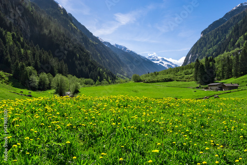 Austrian landscape with meadows and mountains in the springtime. Austria, Tirol, Zillertal, Stillup valley.