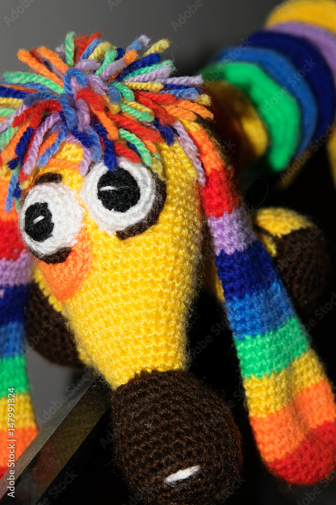 Knitted dog toy, multicolored. Handicraft. Close up, soft focus