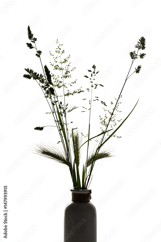 bouquet herbes graminées champêtre tige épillet.jpg Stock Photo | Adobe  Stock