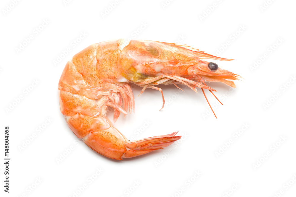 Shrimp isolated on white background Shrimp isolated on white background