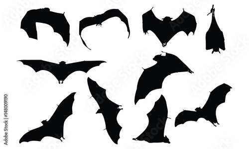 Bat Silhouette vector illustration