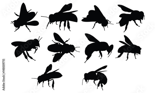 Bee Silhouette vector illustration