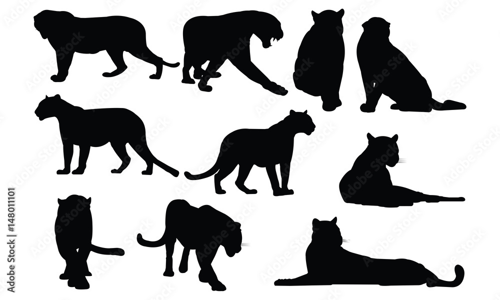 Poster Foundry Black Leopard Wild Cat Animal Puma Jaguar Big Cat India
