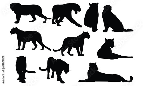 Black panther Silhouette vector illustration