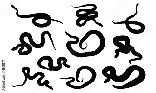 Boa Silhouette vector illustration