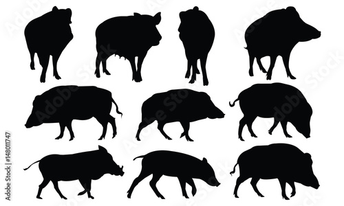 Boar Silhouette vector illustration