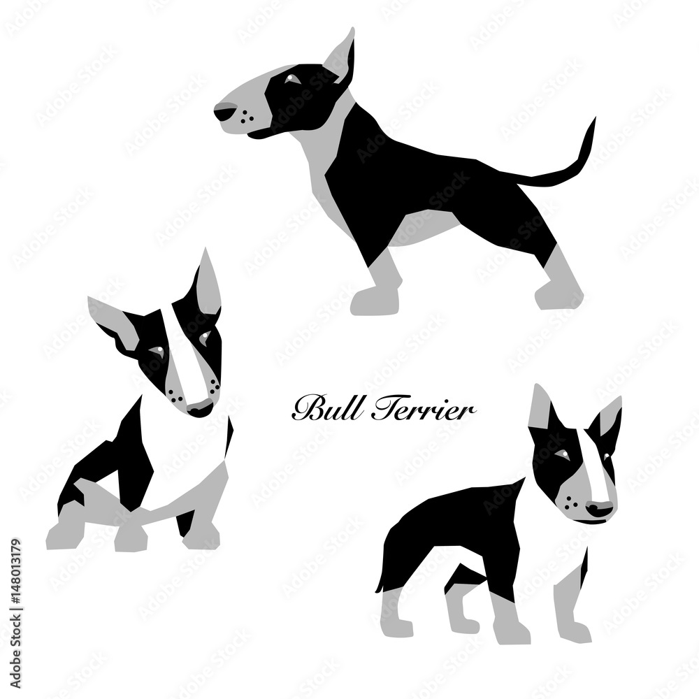 Vector Illustration of bull terrier in various posture.