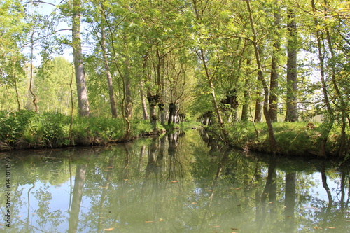 Marais poitevin