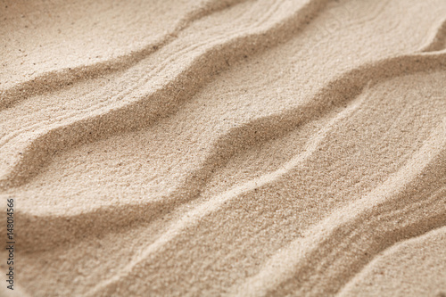 Beach sand background. Natural seashore texture surface