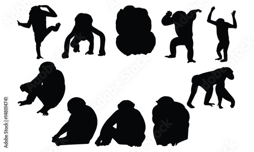 Fotografija Chimpanzee Silhouette vector illustration