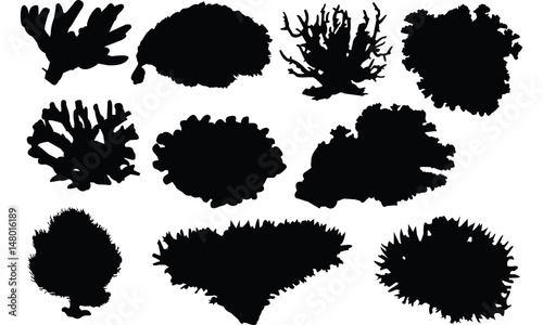 Coral Silhouette vector illustration photo
