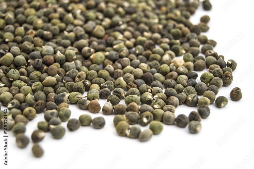 Ready to plant very clearly with white back ground okra seeds,
Ready to plant very clearly with white back ground okra seeds,