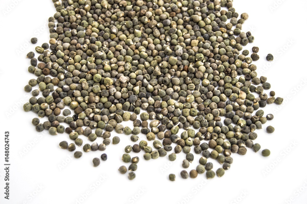 Ready to plant very clearly with white back ground okra seeds,
Ready to plant very clearly with white back ground okra seeds,