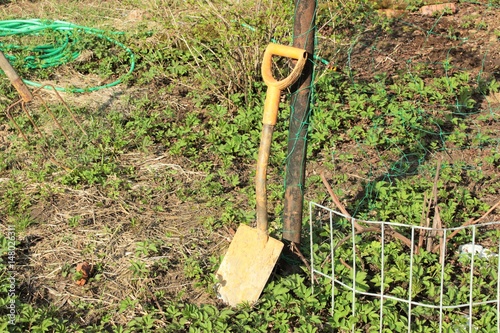A small shovel in the garden
