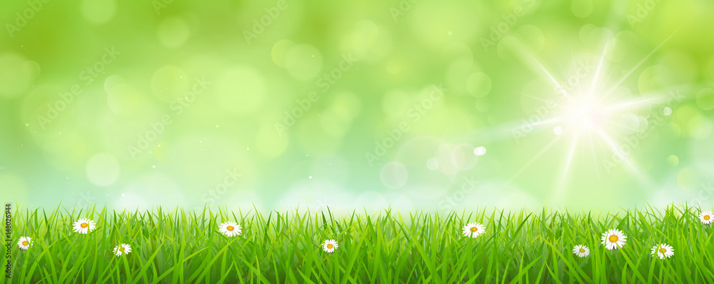 Meadow with blurred sunny sky - Bokeh Spring/Summer Background 