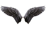 Angel wings, Natural black wing plumage