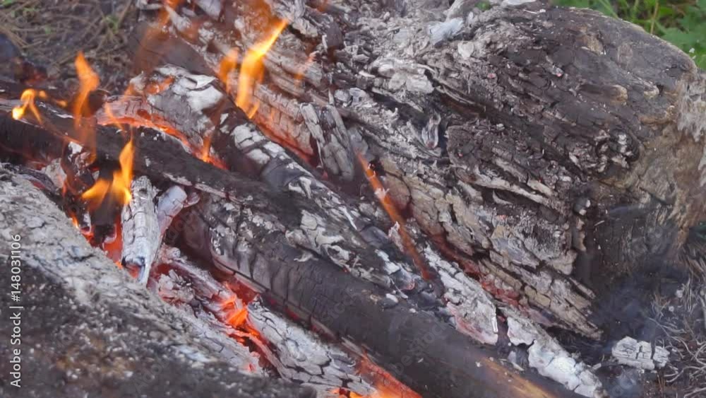 Bonfire in the forest. Burning campfire logs. Bonfire in the forest. Burning campfire logs.