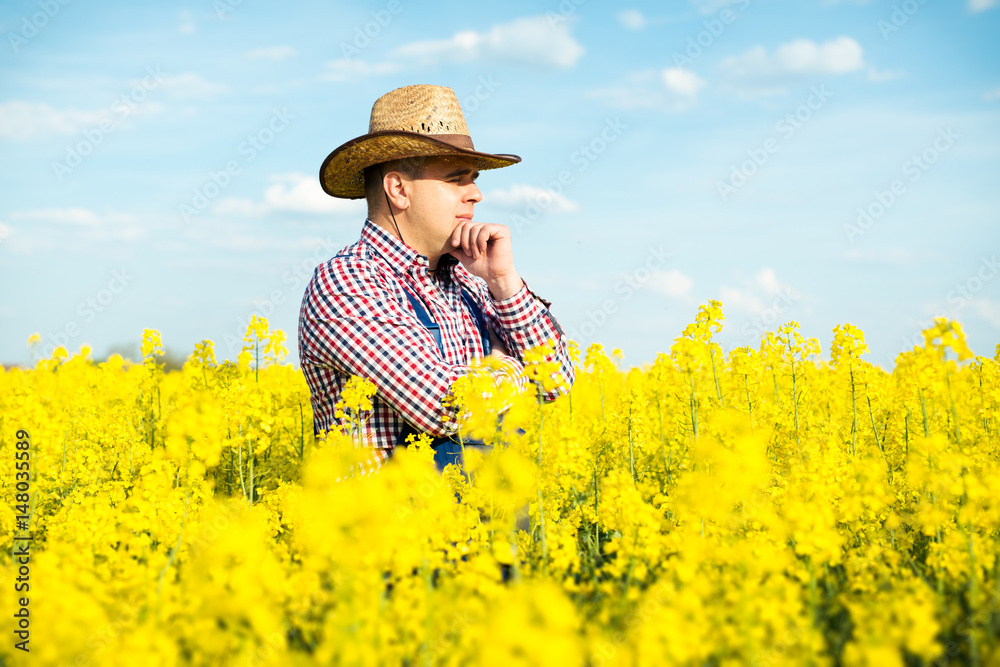 A Farmer inspects rapeseed