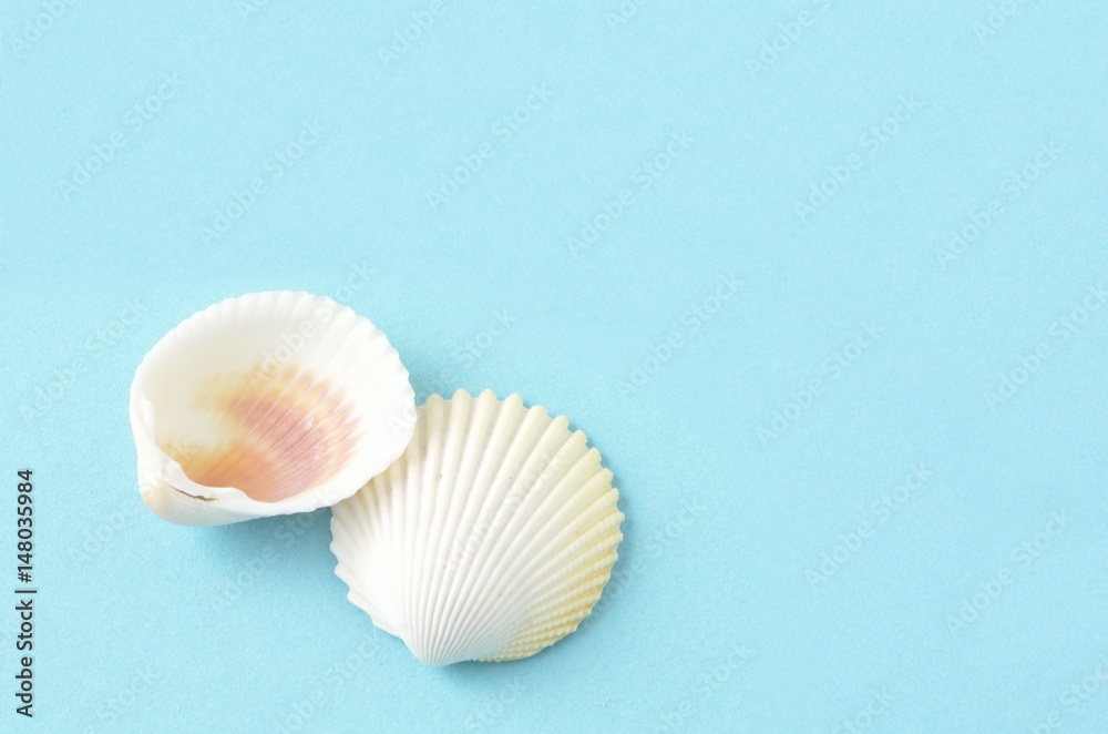 夏の海のイメージ 夏の海のイメージ