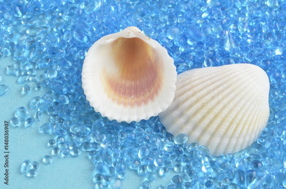 夏の海のイメージ 夏の海のイメージ