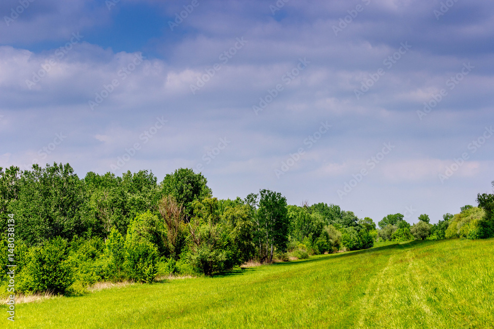 Obraz premium The nature