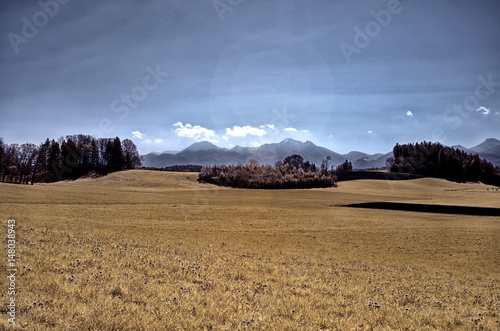 Waldinsel in Wiesenmeer photo