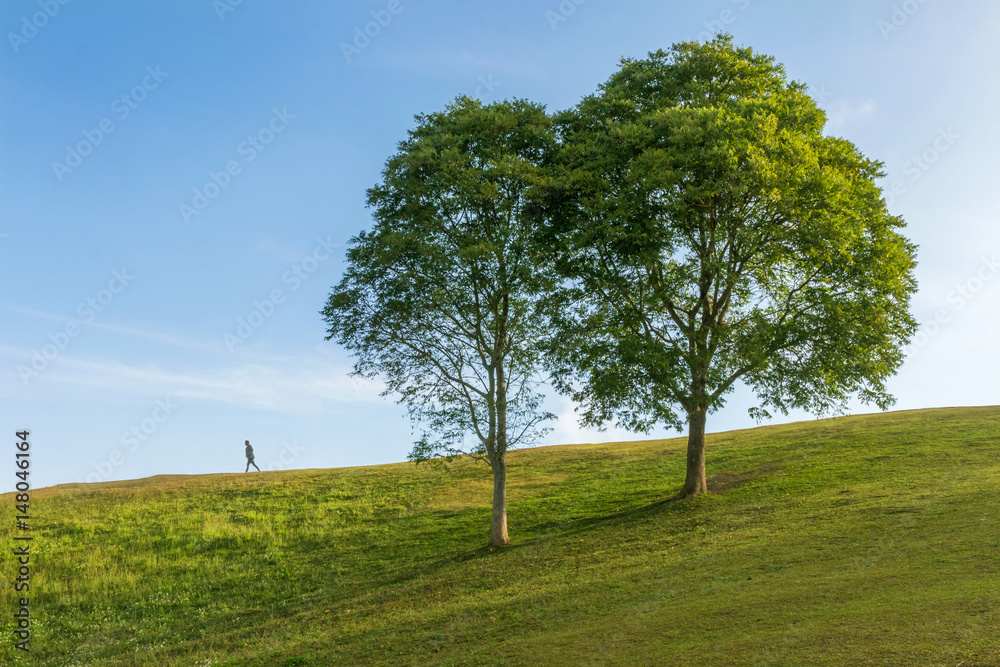 The scenery on the hill with two large trees and the men walking in the morning light that shines down.