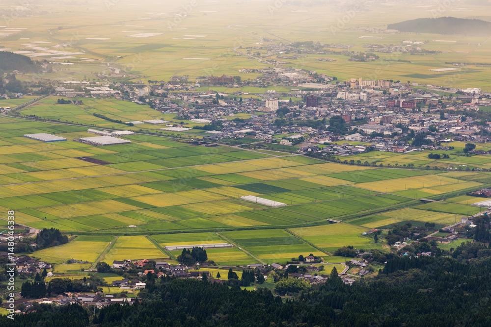 Green rice field in Aso village in Kumamoto, Japan