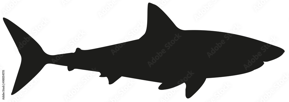 Obraz premium sylwetka rekina