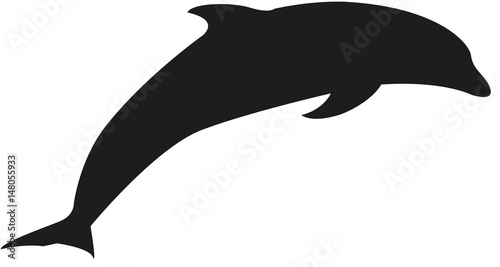 dilphin silhouette