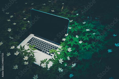 Laptop computer at the natural forest background, spring flowers and leaves are on the keyboard. Photo depicts notebook computer in the woods, blurred forest green plants behind. Freelance concept.