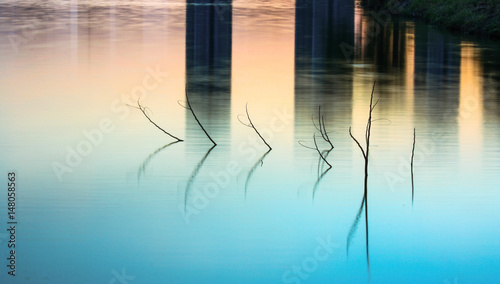 The branch on the surface of the water have a glare of the building.