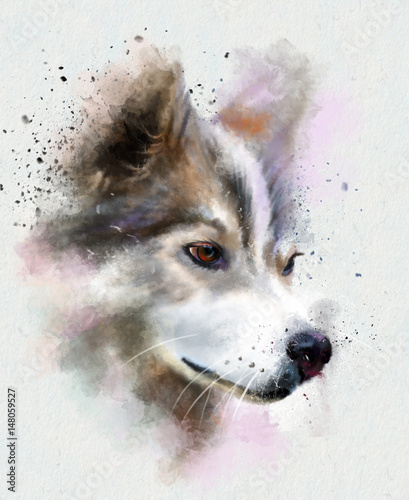Obraz na płótnie Akwarela zwierząt. Portret akwarela pies rasy husky. Zbliżenie w profilu