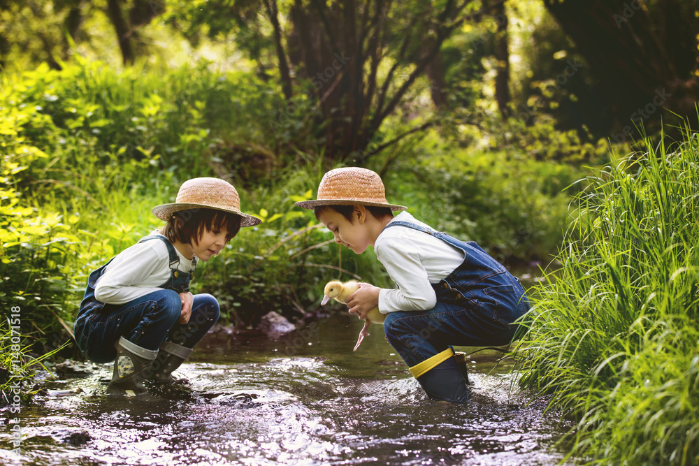 Children, playing on little river with ducklings Children, playing on little river with ducklings
